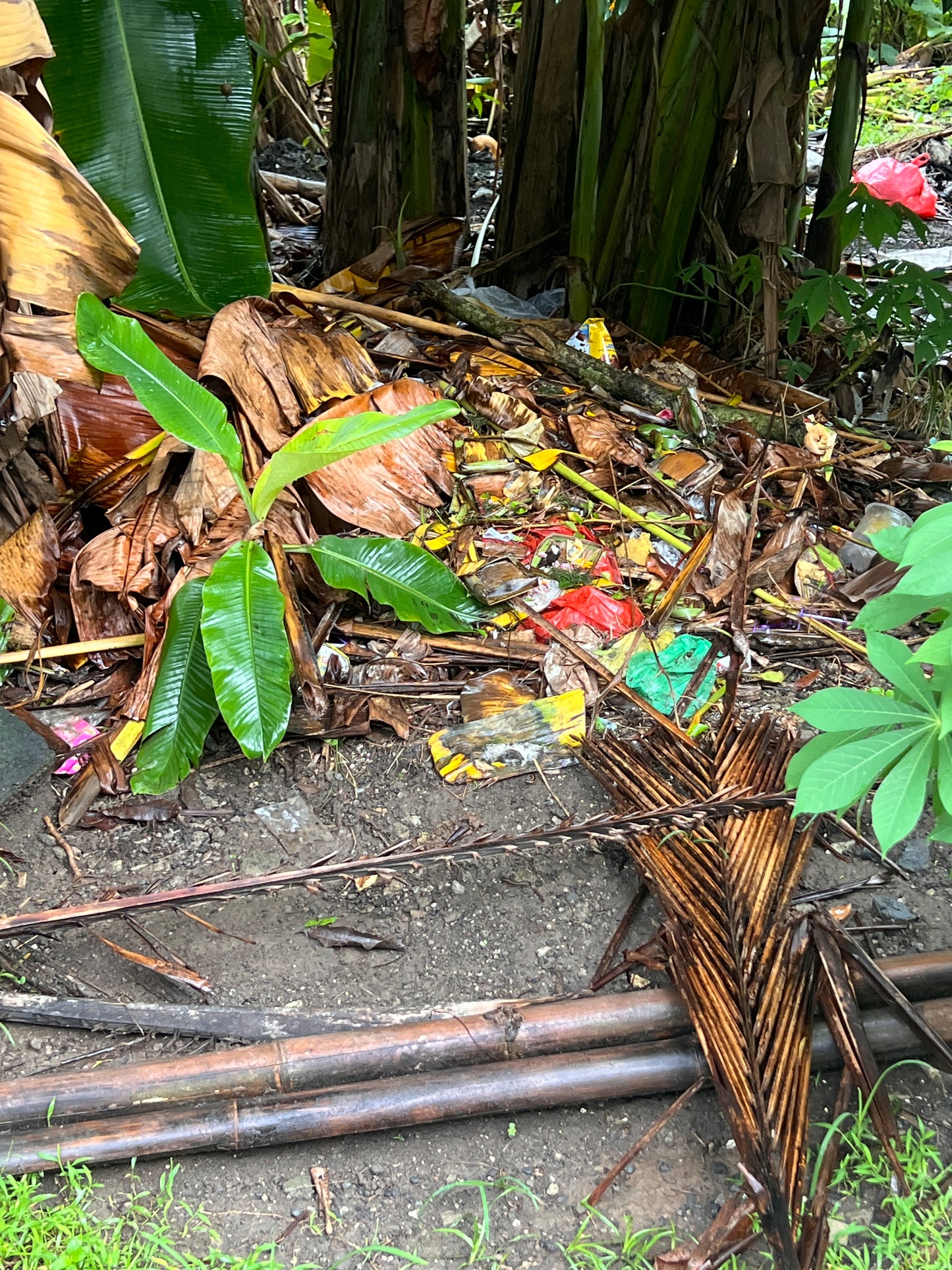 Project One Bali | Donation To Ethical Waste Management