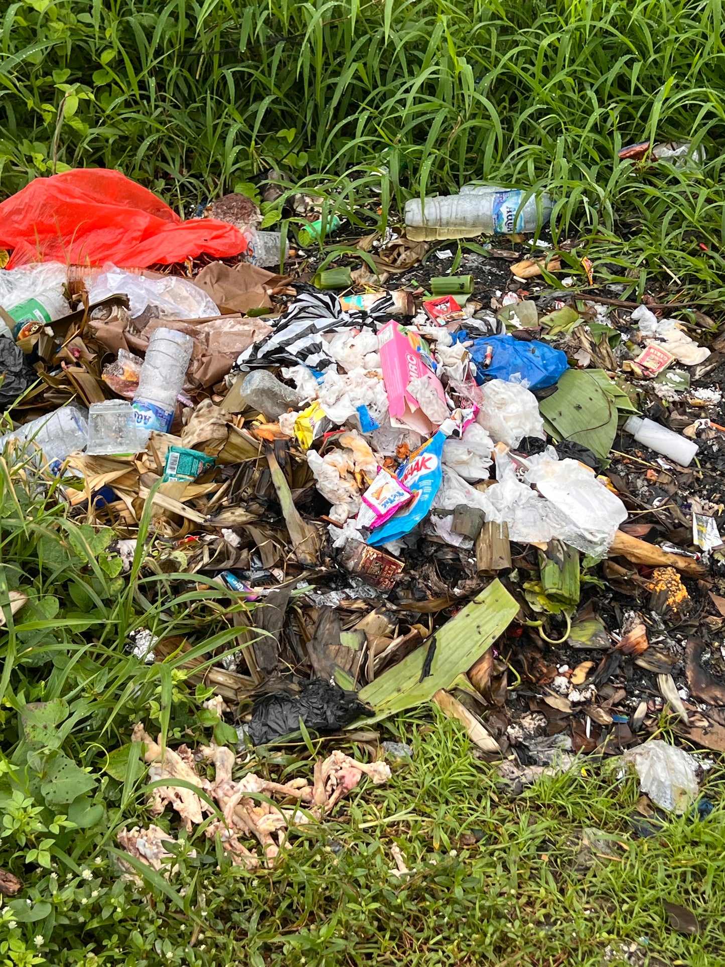Project One Bali | Donation To Ethical Waste Management